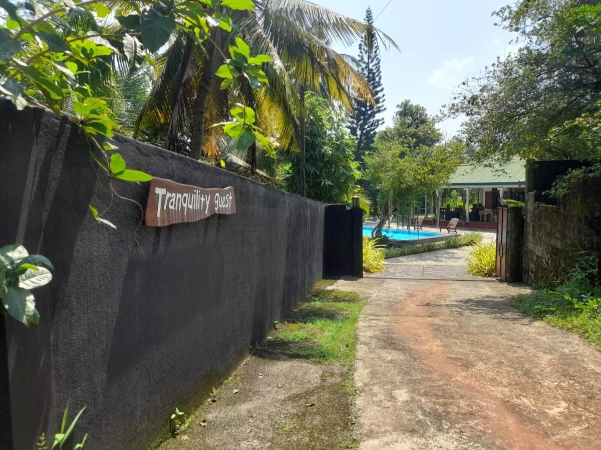 Tranquility Guest House Hikkaduwa Bagian luar foto