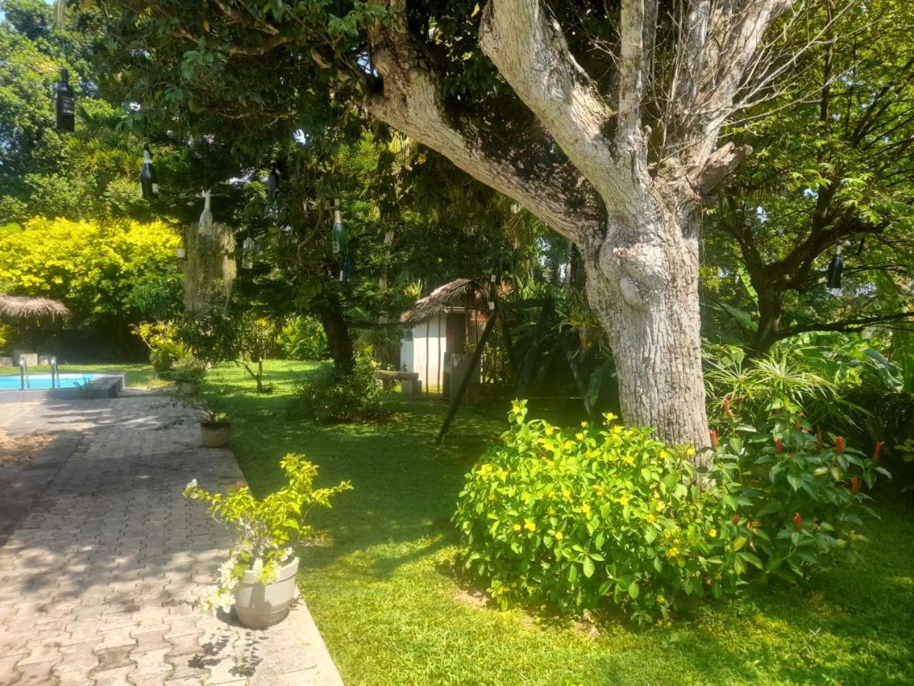 Tranquility Guest House Hikkaduwa Bagian luar foto