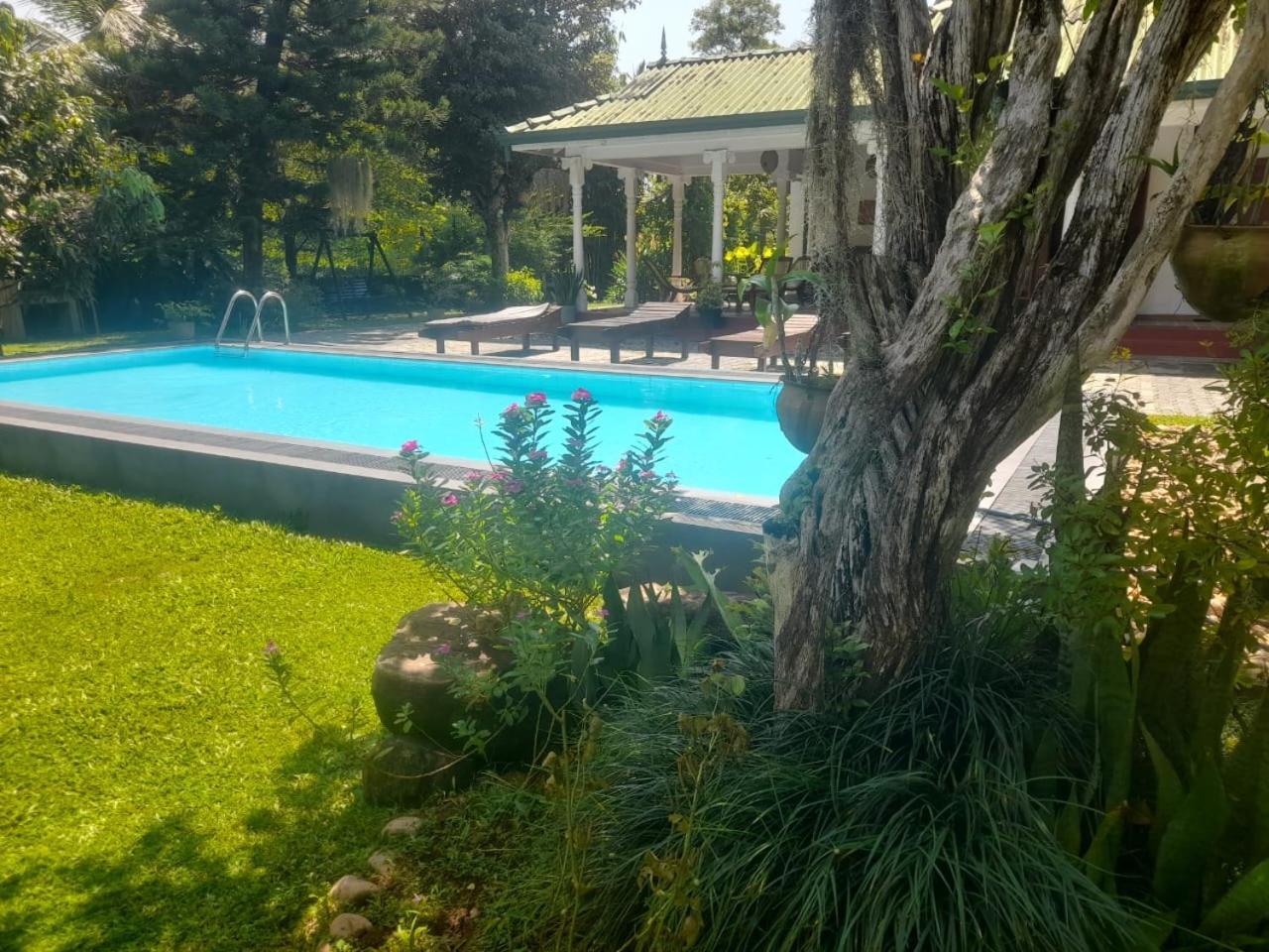 Tranquility Guest House Hikkaduwa Bagian luar foto