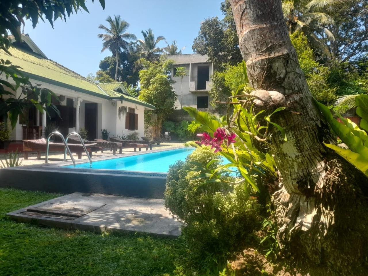 Tranquility Guest House Hikkaduwa Bagian luar foto