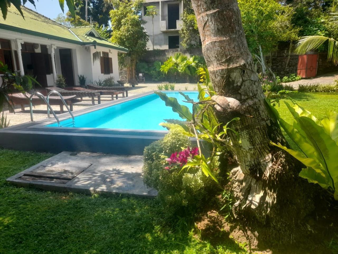 Tranquility Guest House Hikkaduwa Bagian luar foto