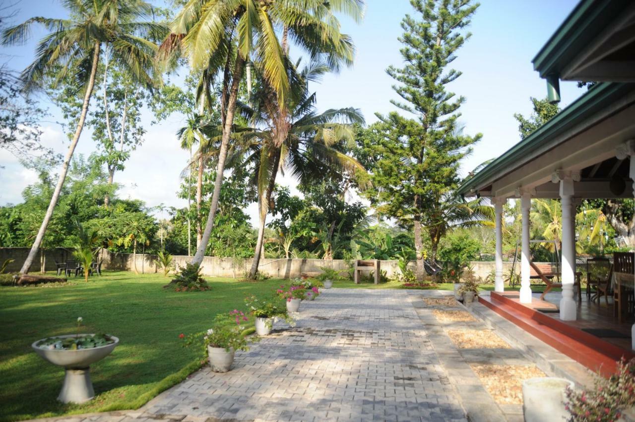 Tranquility Guest House Hikkaduwa Bagian luar foto